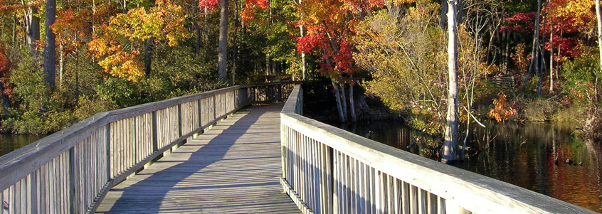 Fall Training in Newport News, VA