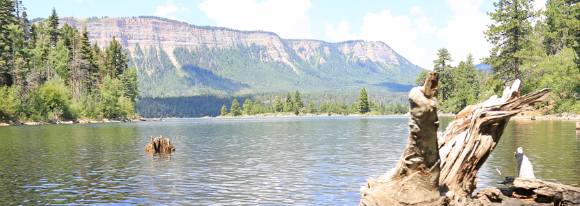 lake near durango